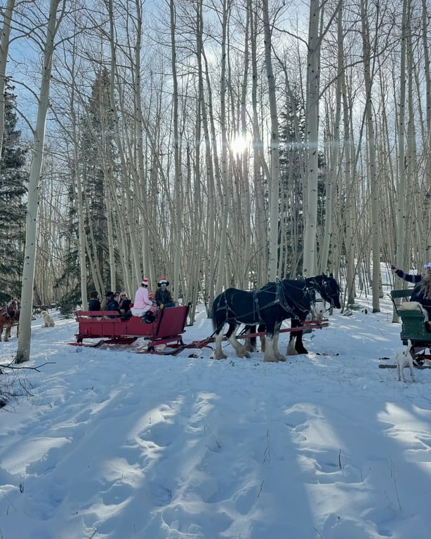 Our Favorite Winter Activities near Telluride image