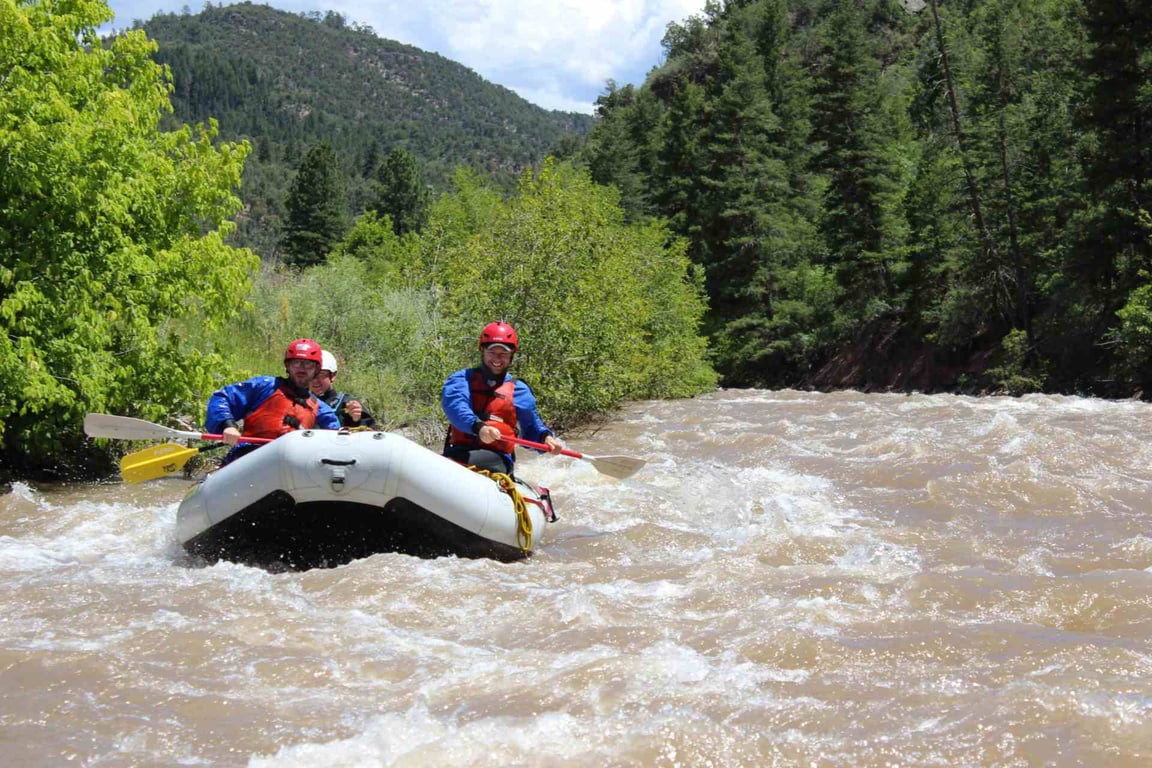 Telluride Rafting On The Lower San Miguel - Half Day Class II Tour Image 3