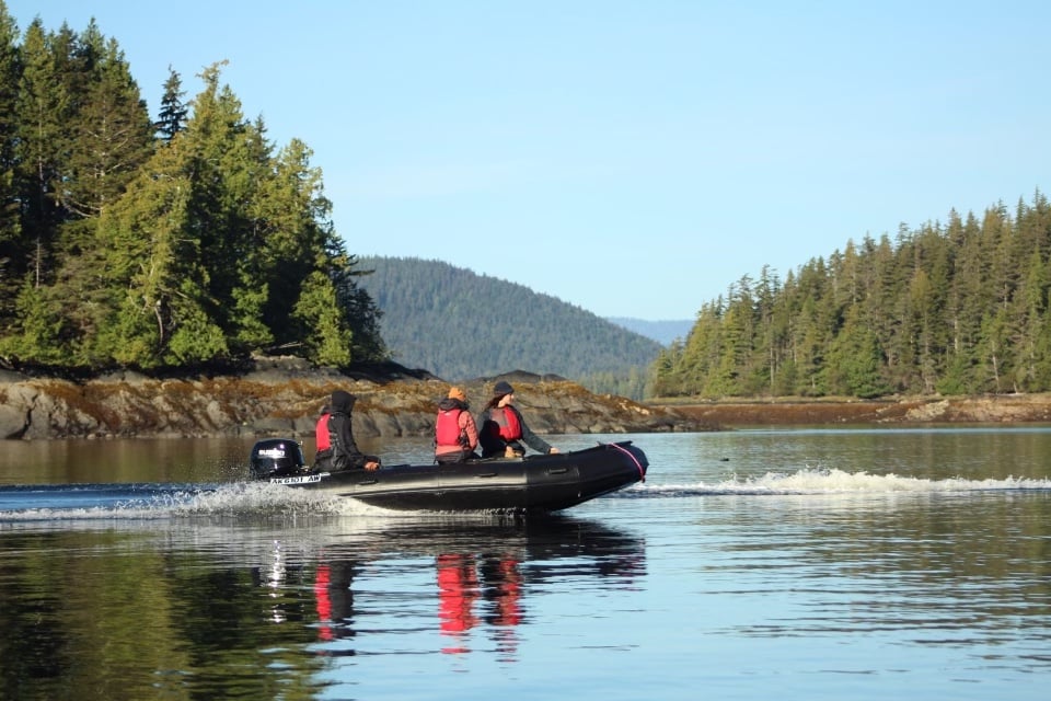 Marine Fast Boat Adventure Tour Image 3