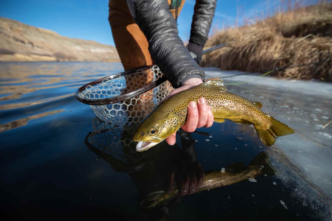 Winter Fly Fishing The Uncompahgre - Full Day Tour Image 7