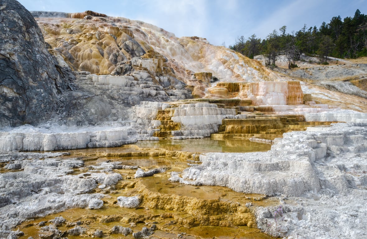 Private Yellowstone Grand Loop Tour Tour Image 6