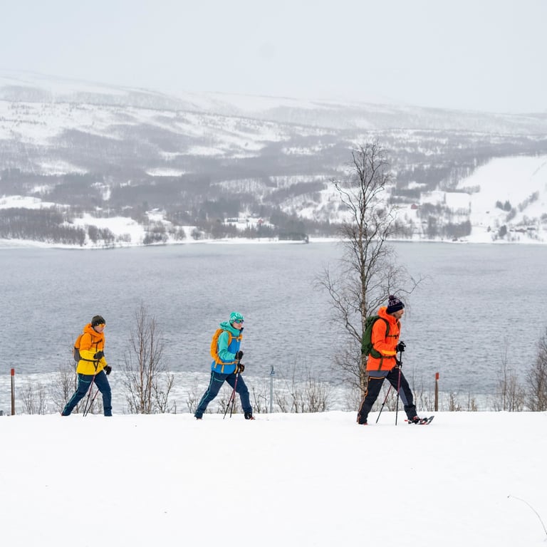 Guided Snowshoe Tour - Half Day Tour Image 4