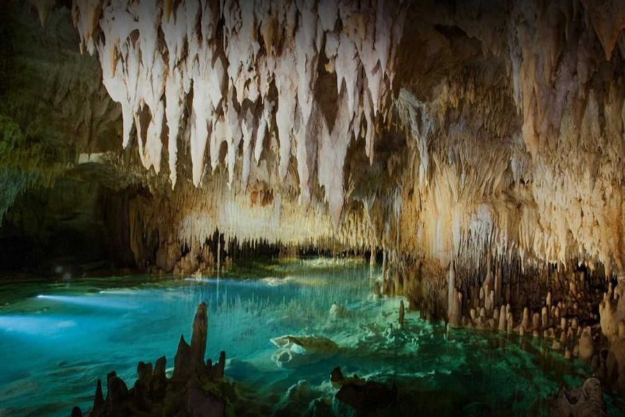 11 Unique Things to Do in Grand Cayman