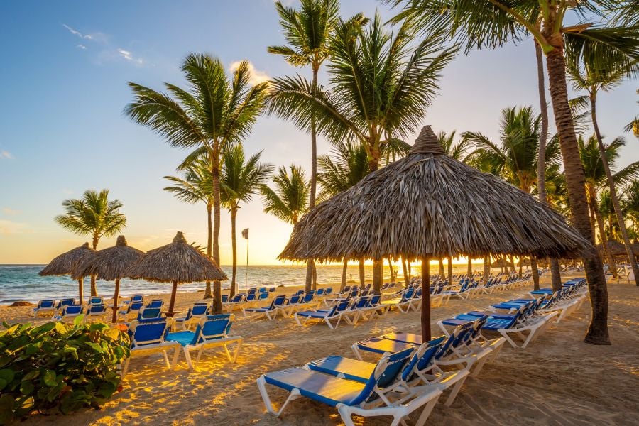 Rows of beach chairs and palm trees glowing in the sunset light.