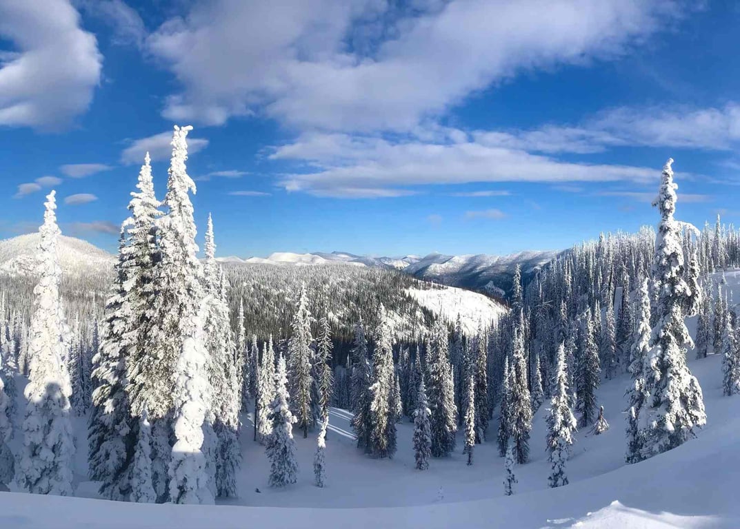 Half-Day Whitefish Snowmobile Tour Tour Image 5