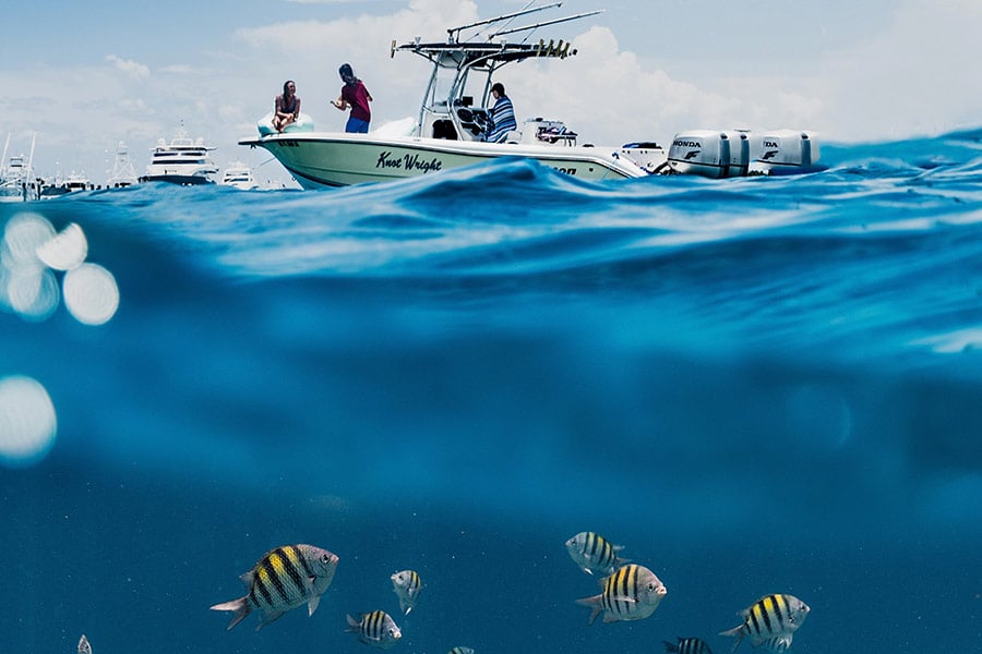 Fishing category image