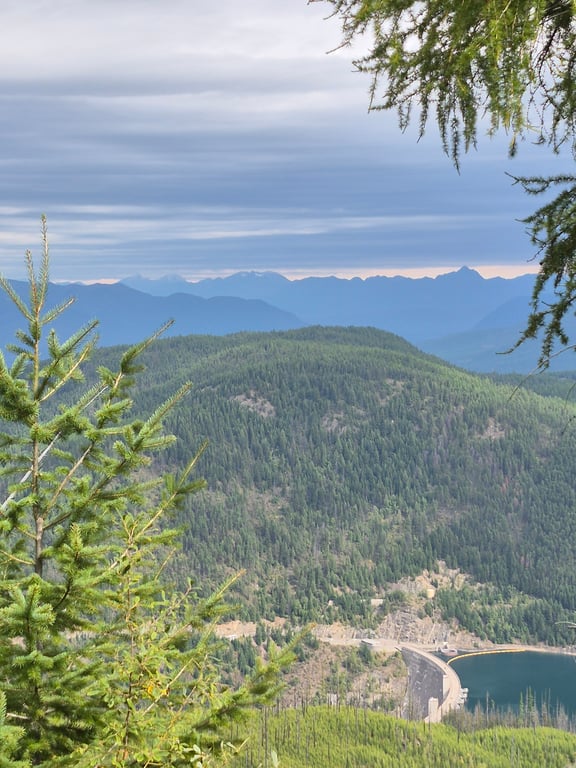 Our ride at Flathead Forrest review image 3