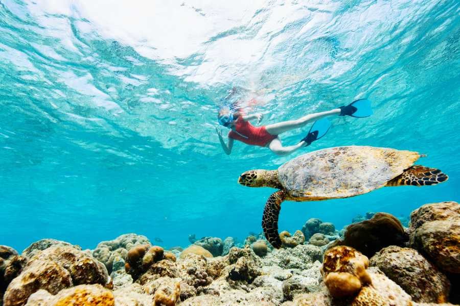 A snorkeler gliding underwater near a sea turtle, surrounded by coral reefs in crystal-clear water.