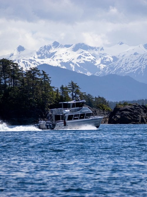 Sitka's Coastal Wildlife Cruise Tour Image 2