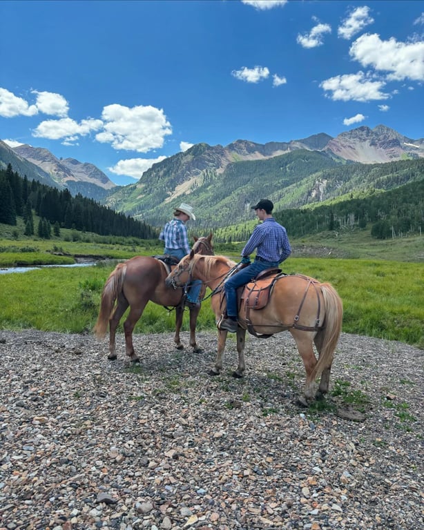 Horseback Trail Rides Private Half Day Tour Image 3