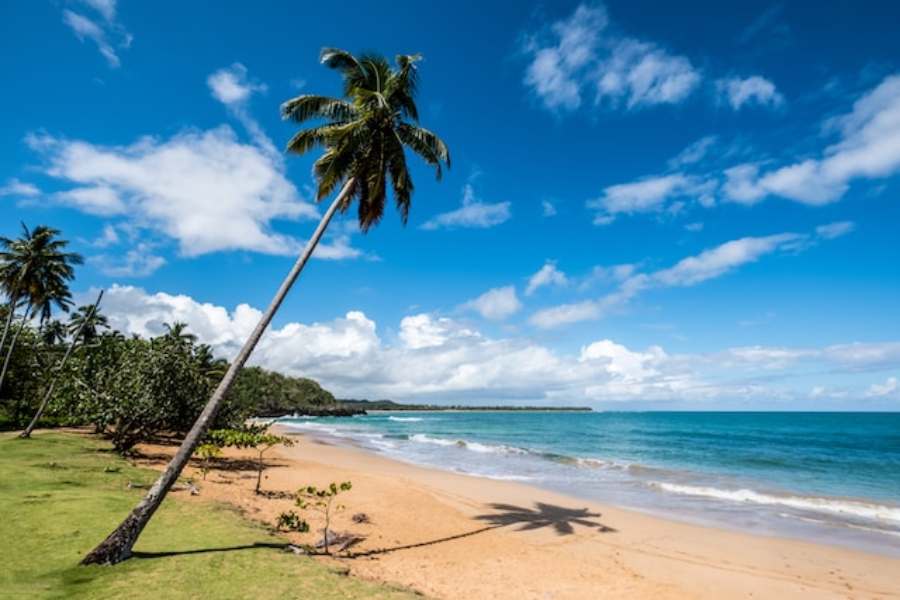 Our Expert Guide to Punta Cana: Top Activities, Beaches & More