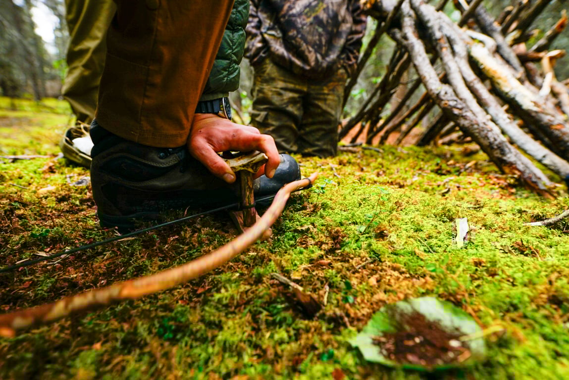 Denali Wilderness Survival Tour Tour Image 4