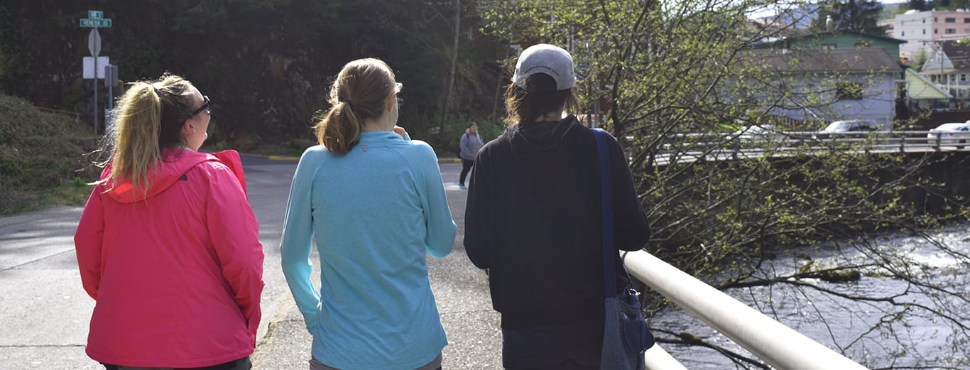 Juneau, Skagway, and Ketchikan Alaska Map and Walking Guide image
