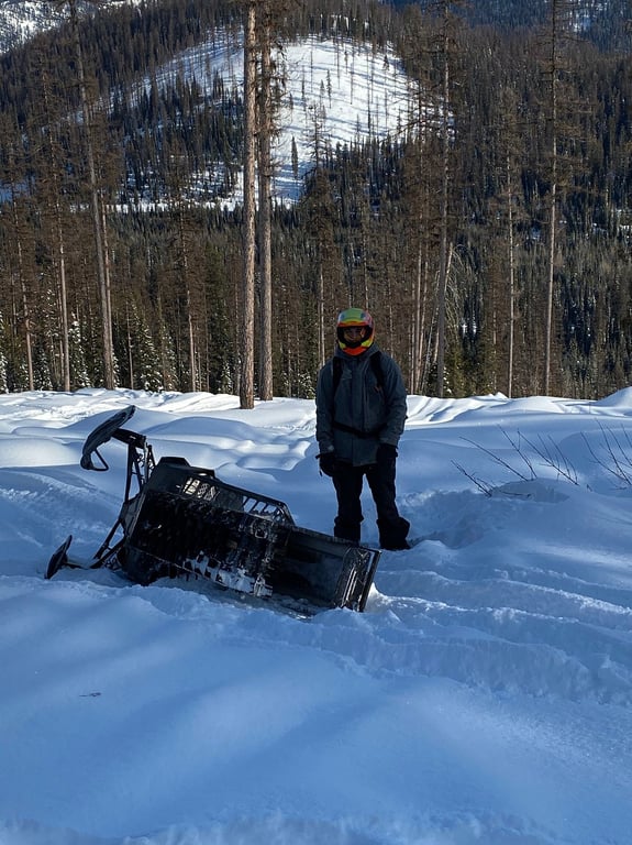 Amazing bluebird day review image 1