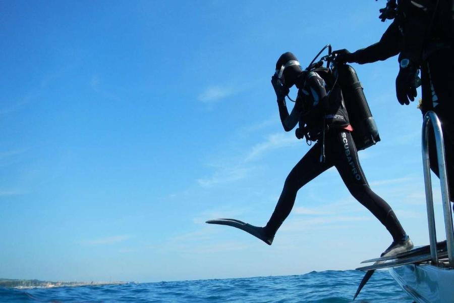 9 Reasons to Dive the Cayman Islands 