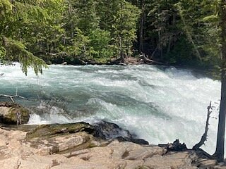 I would recommend taking this tour for EVERYONE visiting the park! review image 1
