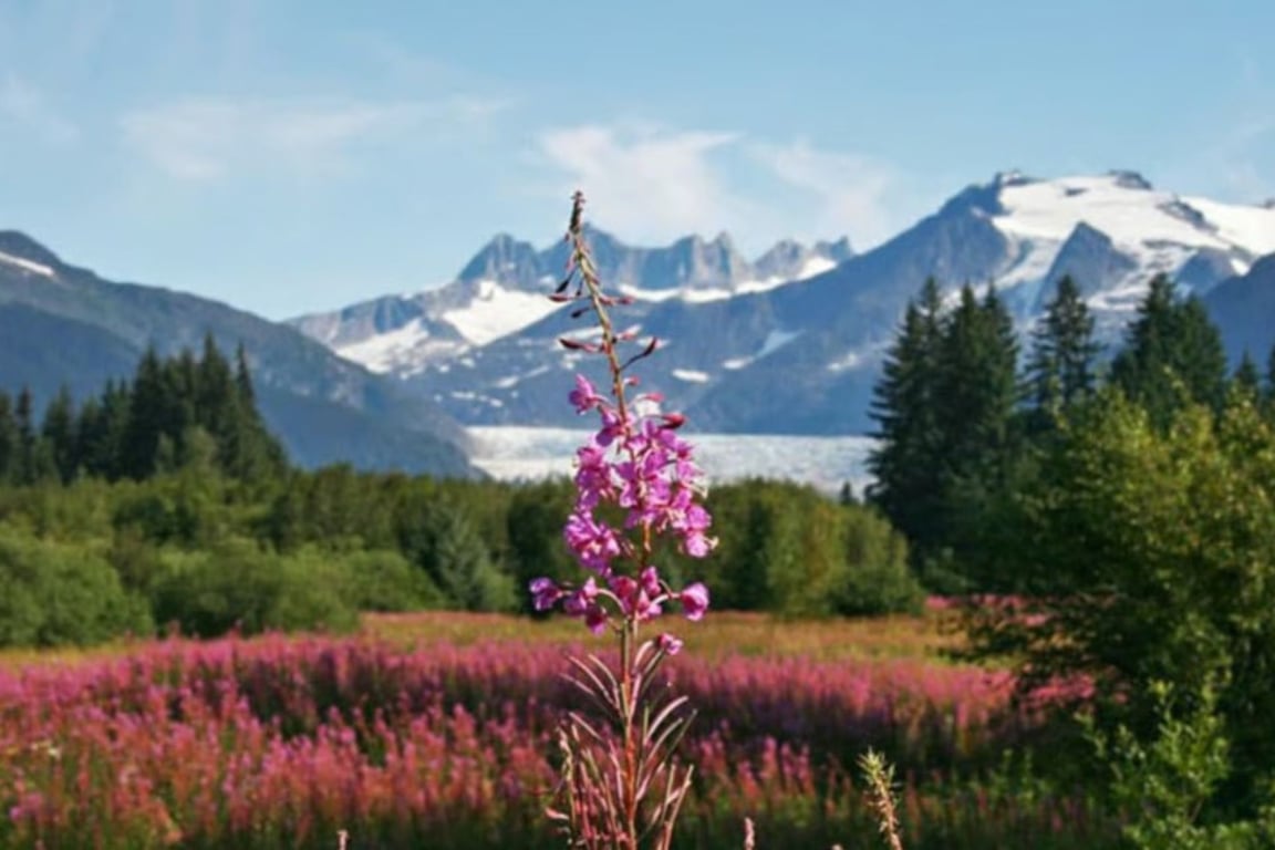 Glacier Shuttle Tour Tour Image 4