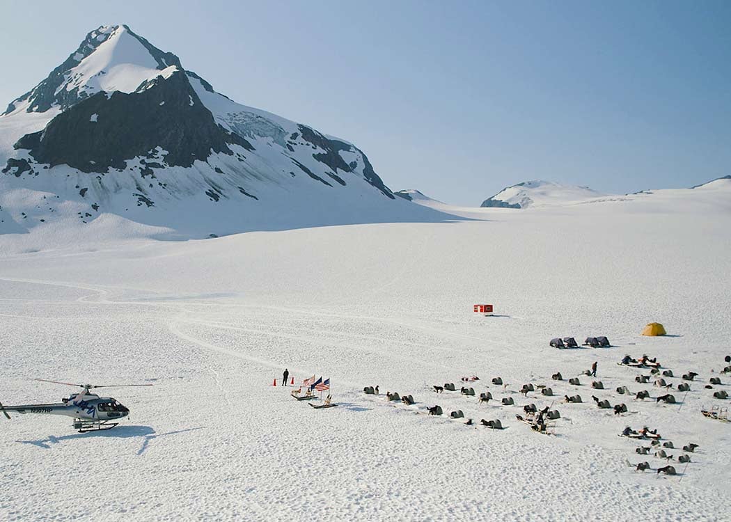 Anchorage Helicopter Glacier Dogsled & Lower Glacier Landing With Transportation Tour Image 4