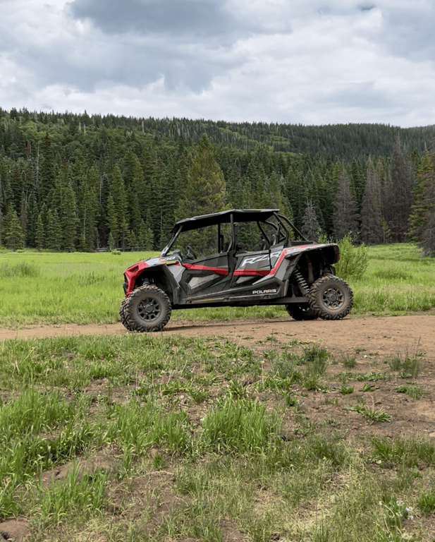 Silverton RZR Rentals - 4 Hours image