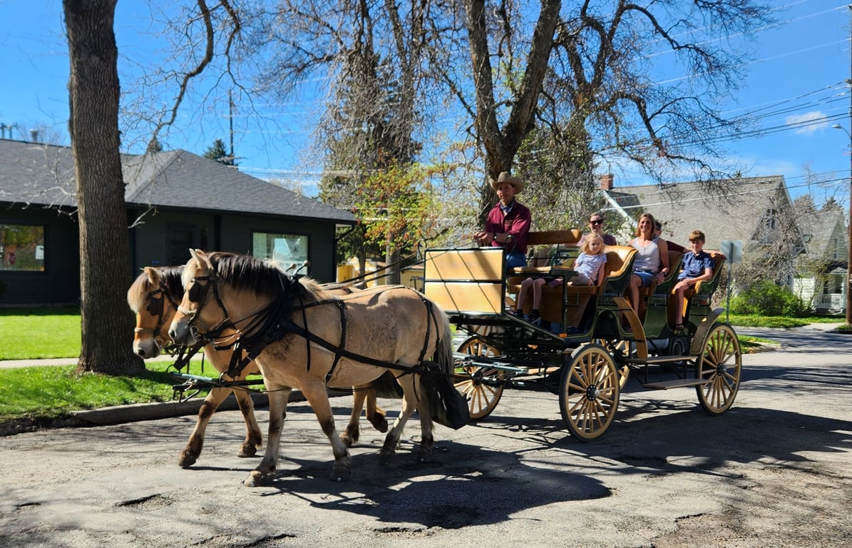 One Hour Bozeman City Carridge Tour Image 7