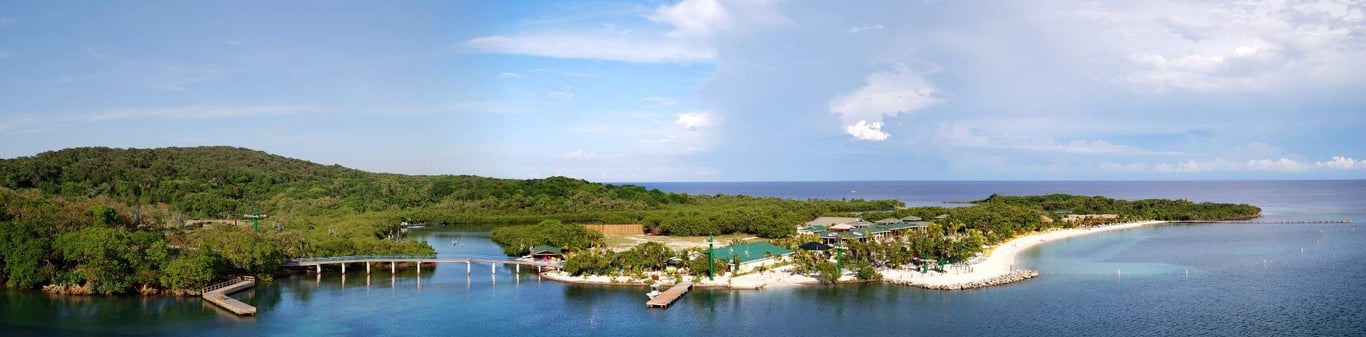 Roatan Cruise Port Guide image