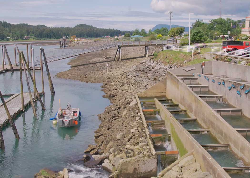 Juneau salmon hatchery