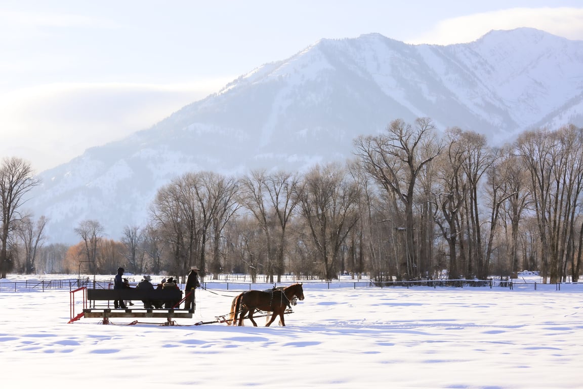 Snake River Ranch Sleigh Ride Tour Image 2