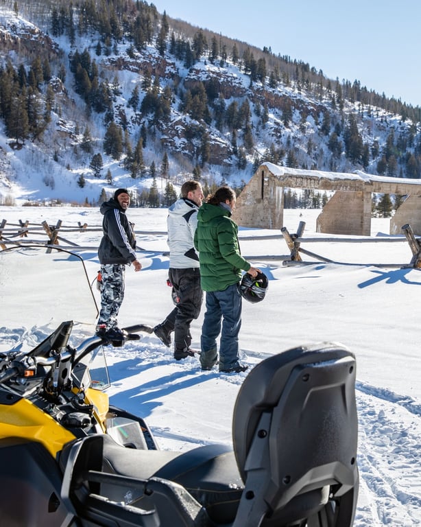 Alpine Express Two Hour Snowmobile Tour image