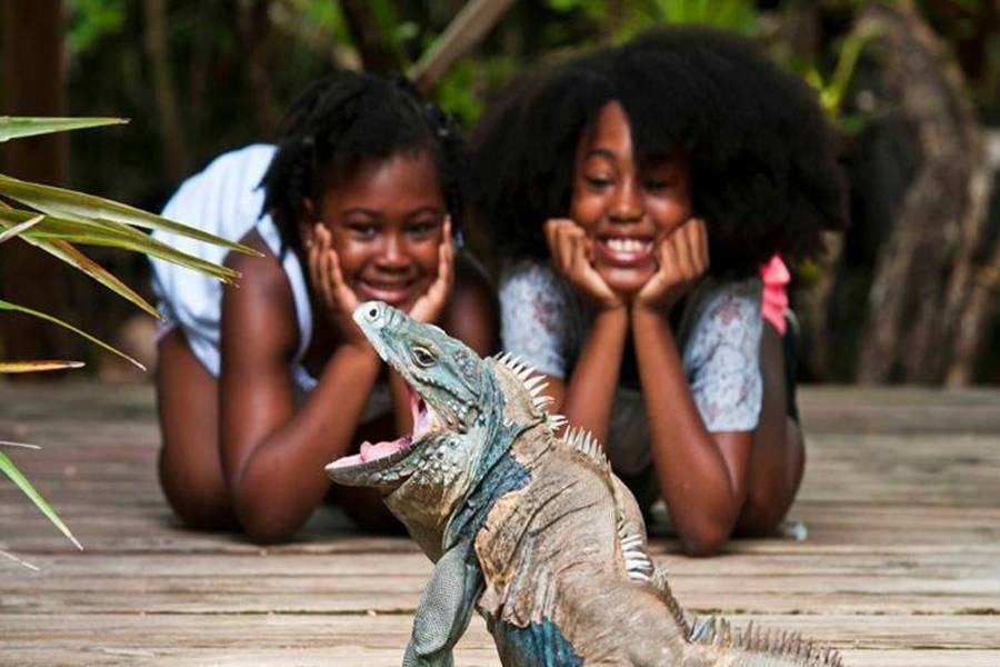 11 Unique Things to Do in Grand Cayman