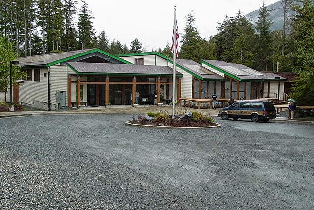 Your Local Expert's Guide to the Alaska Raptor Center in Sitka, Alaska