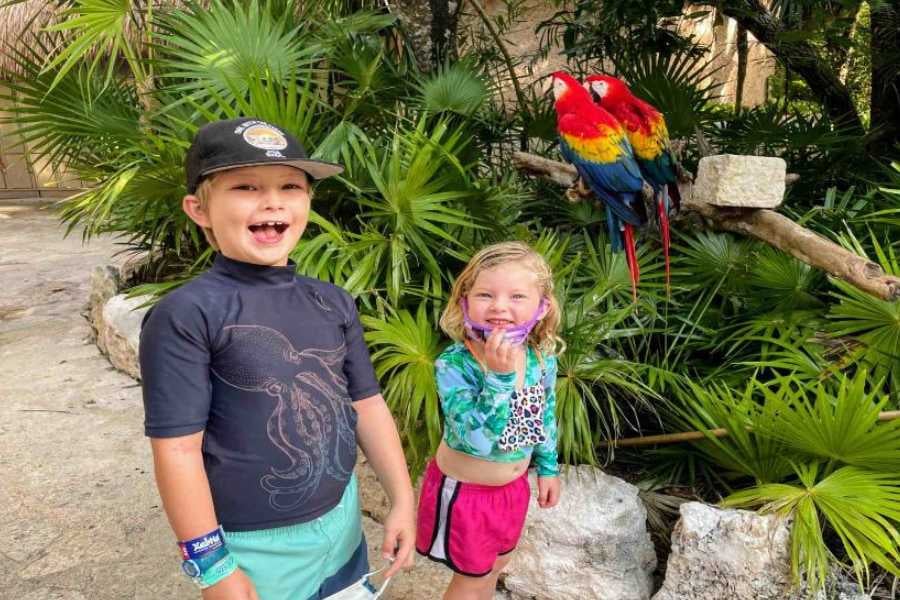 Two kids beam with joy while standing near vibrant parrots perched on a tree branch in a lush setting.