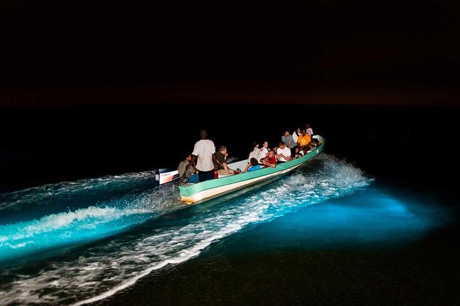 Bioluminescence Tour & Sunset River Cruise image