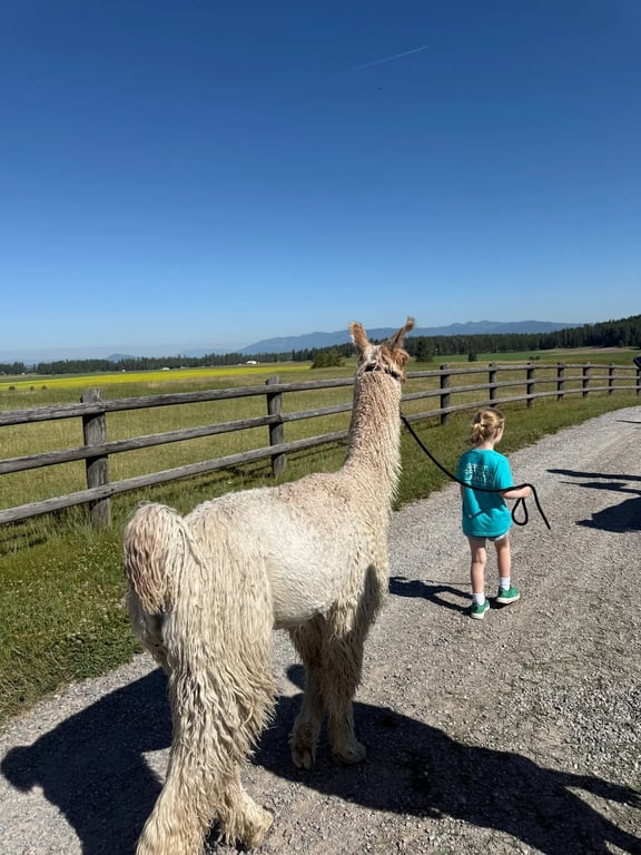 Llama Tour review image 0