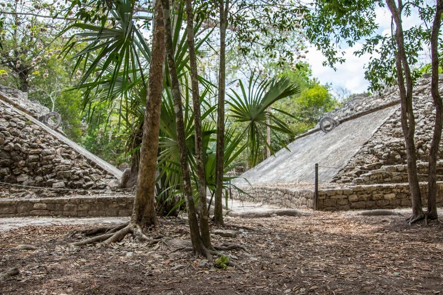 Ancient stone ruins peek through the trees, showcasing timeless Mayan architecture surrounded by nature.