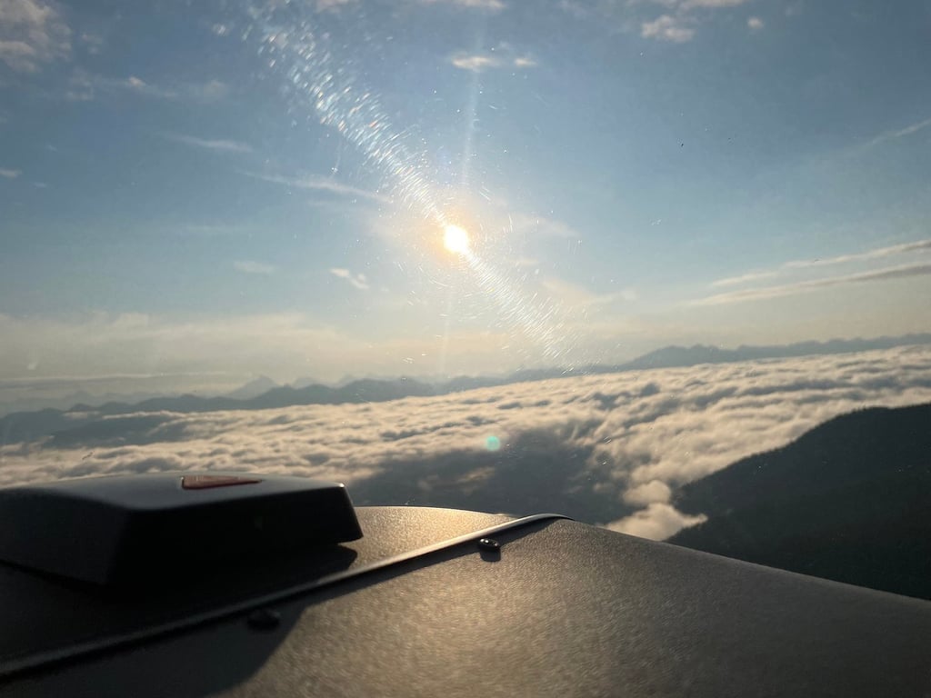 Fly over paradise review image 0
