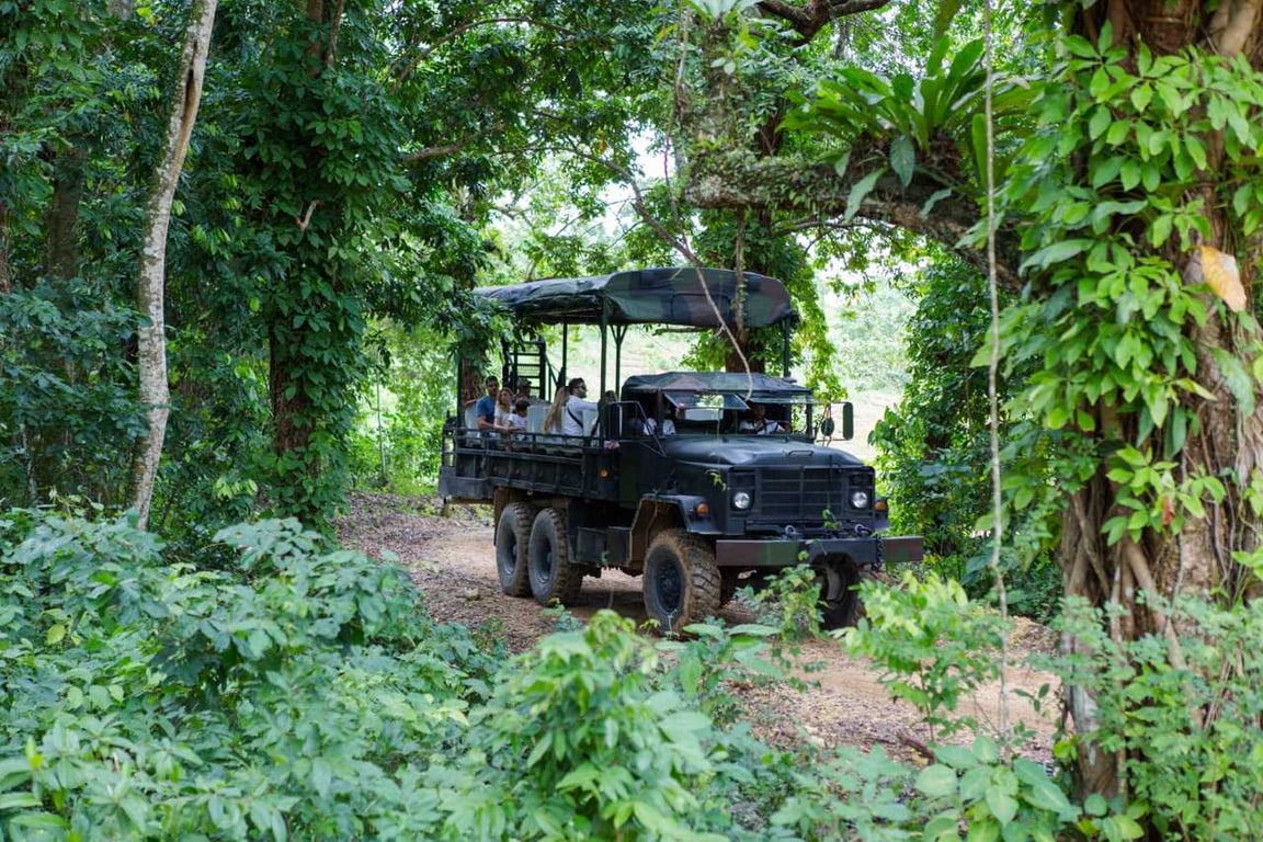 Punta Cana Combo - Zipline, Buggies, Horseback & Safari Tour Image 12