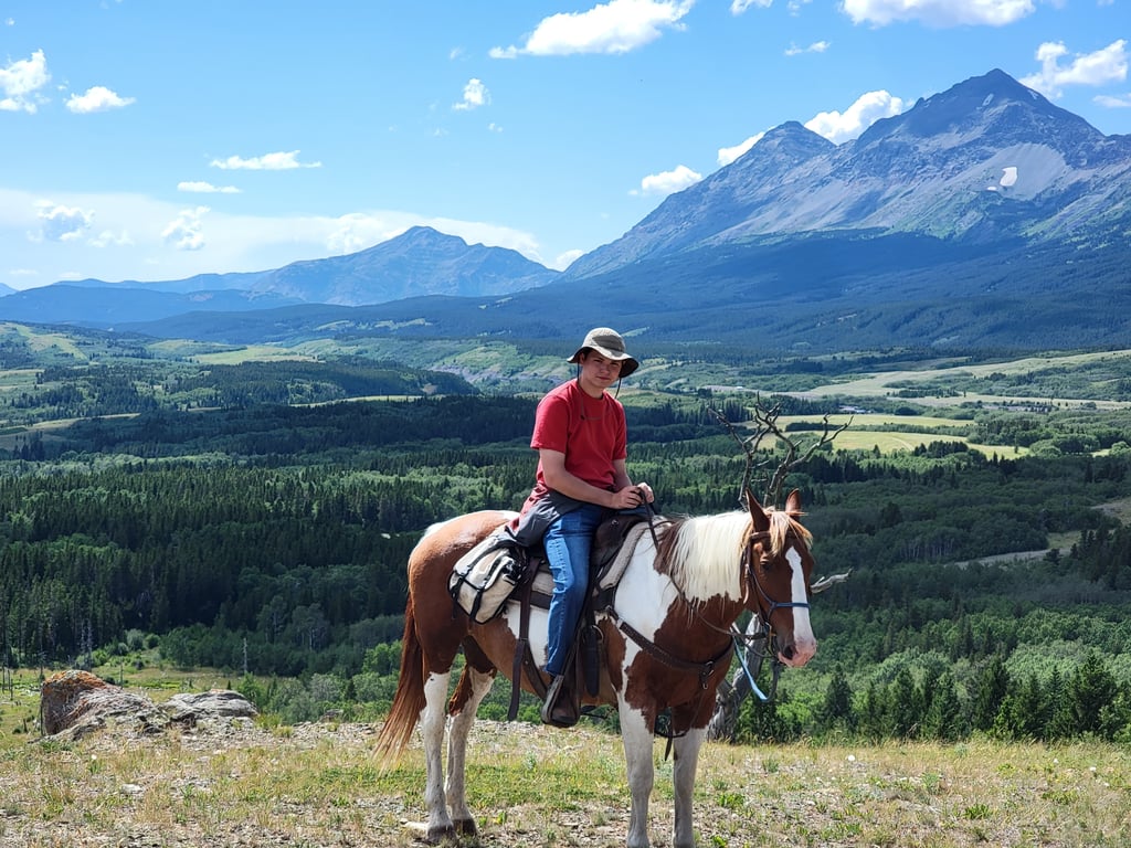 Horseback Trail Ride - Half-Day Tour Image 4