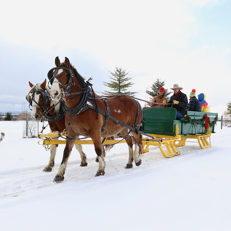 One Hour Bozeman Sleigh Ride Tour Image 2