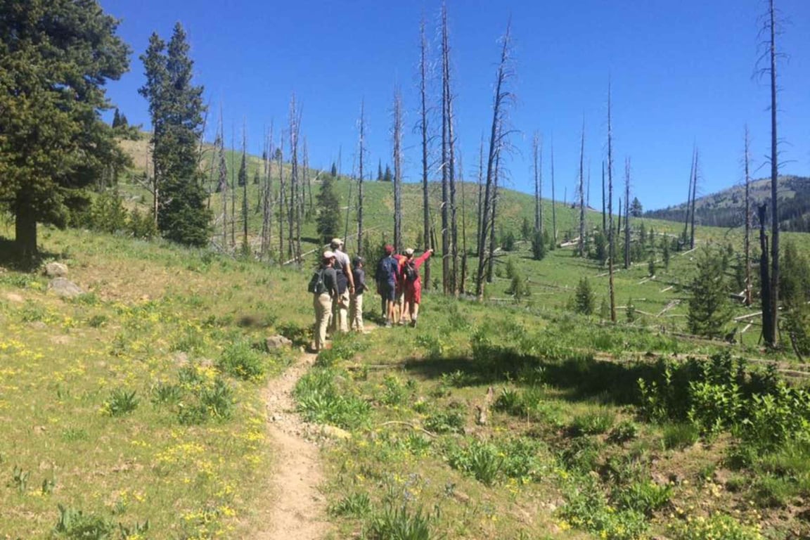 Lamar Valley Full Day Hiking Adventure Tour Image 3