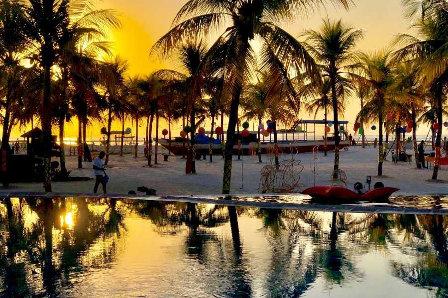 Sunset magic unfolds with golden hues reflecting off the water and palm trees swaying on a tranquil beach.