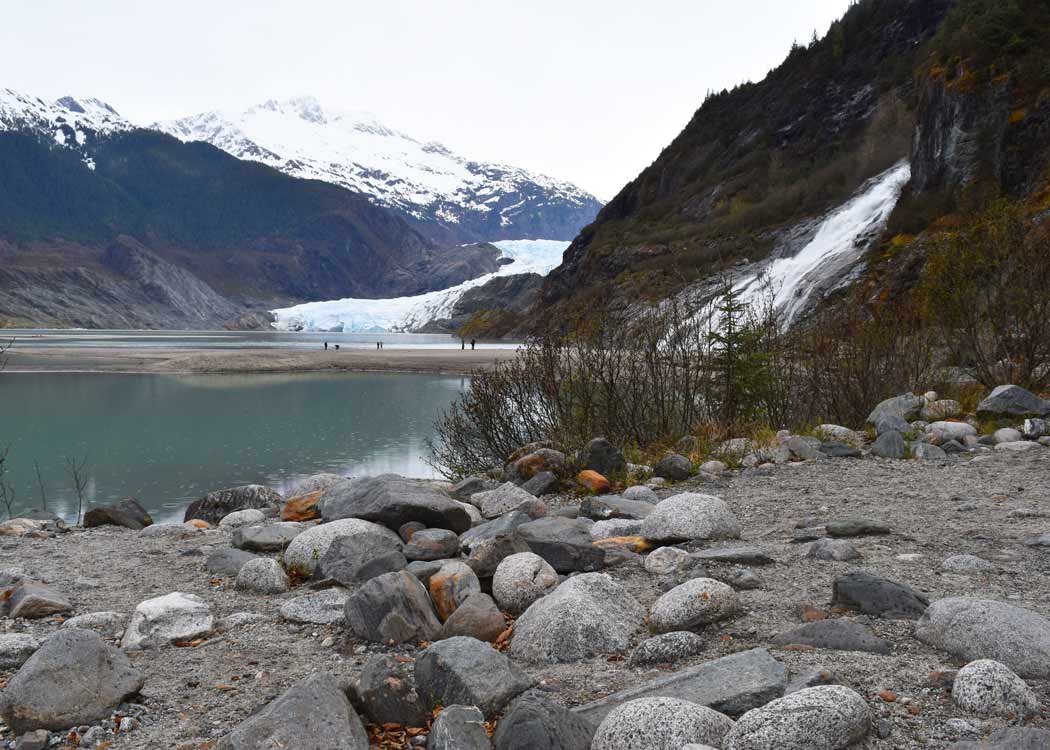 Whale Watching & Mendenhall Glacier Tour Tour Image 26