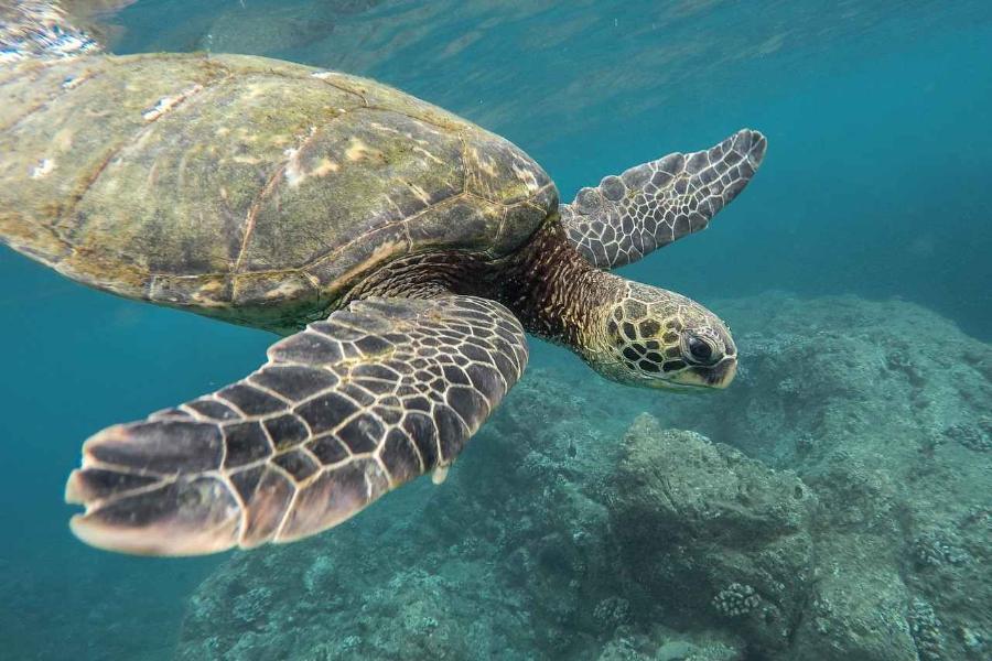 A Local’s Guide On What To Do In Cancun