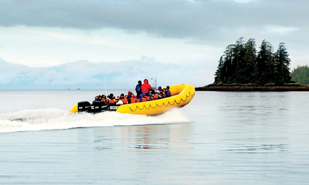 Rainforest Island Adventure Tour Image 1