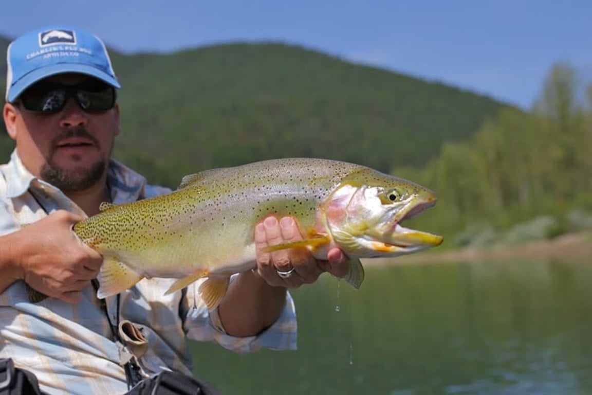 Montana Fly Fishing - Full-Day Tour Image 5