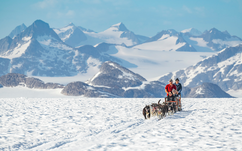 Glacier Dog Sled Adventure Tour Image 7