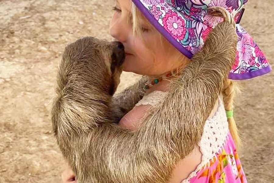 Sloths in Roatan