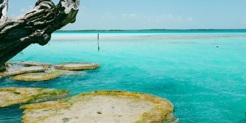 Bacalar Beach Club & Cenote Experience from Costa Maya Tour Image 5