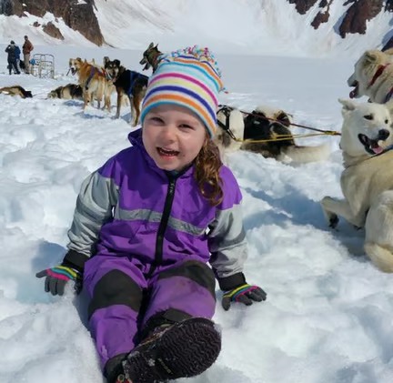 Yellowstone Dog Sled Experience Tour Image 7