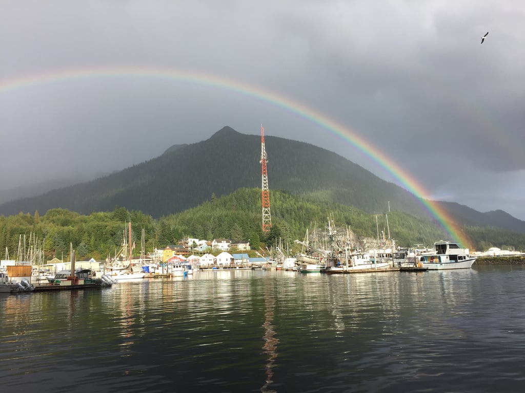 Private Ketchikan Coastal Tour: Wilderness, Whales, and Wildlife Tour Image 2