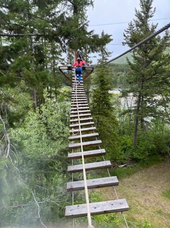 Glacier Zipline Canopy Tour Tour Image 3